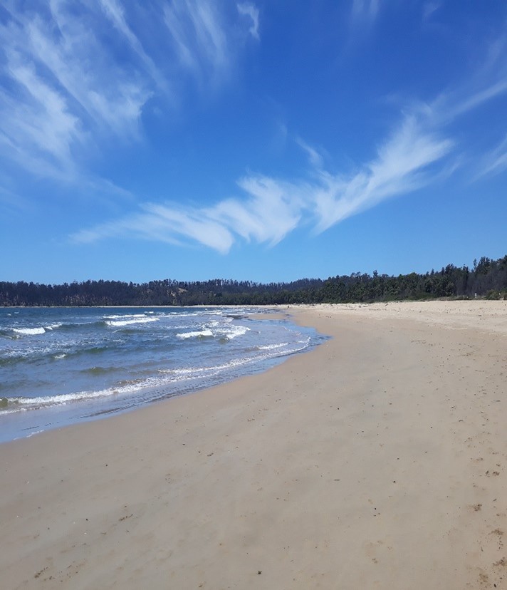 an image of white sand beach and blue sea